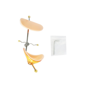Dental Face Mask-Single Pole Adjustable