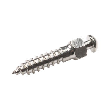 Orthodontic Micro Implant Mini Screw